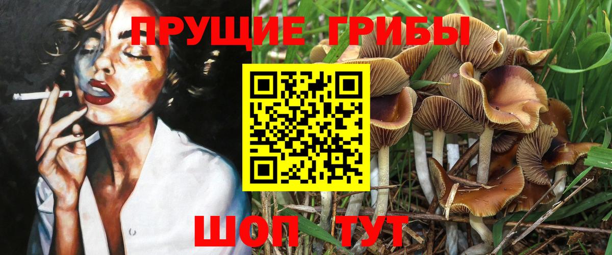 Красноуфимск  Псилоцибиновые грибы прущие грибы  Вход с VPN 
