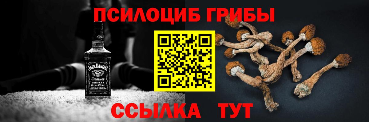 Псилоцибиновые грибы мицелий Красноуфимск
